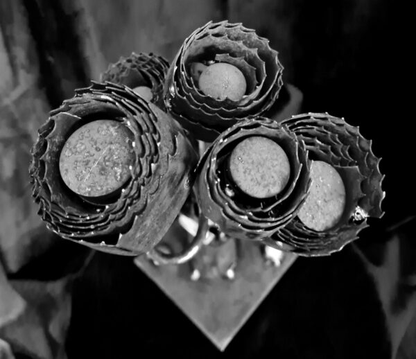 Le bouquet lames de scies – Image 5