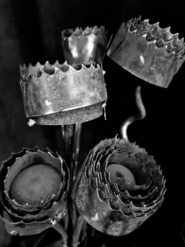 Le bouquet lames de scies – Image 4