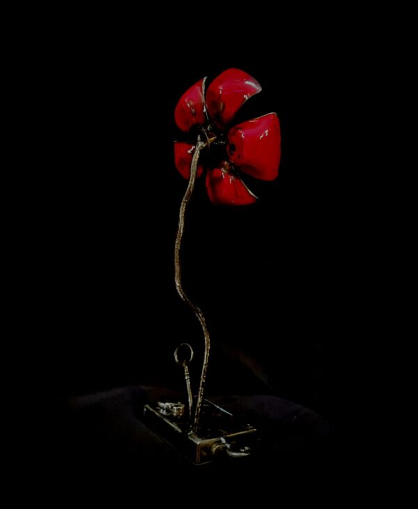 Fleur d'extincteur – Image 4
