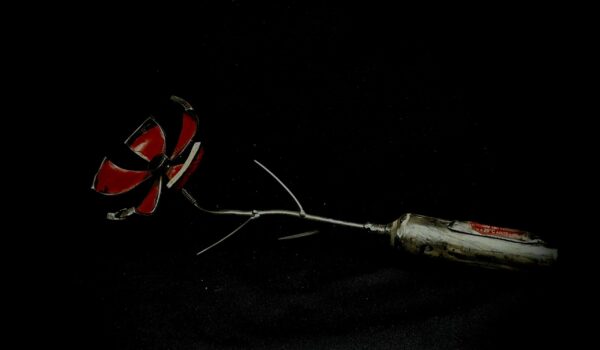 Fleur 3 épines – Image 4
