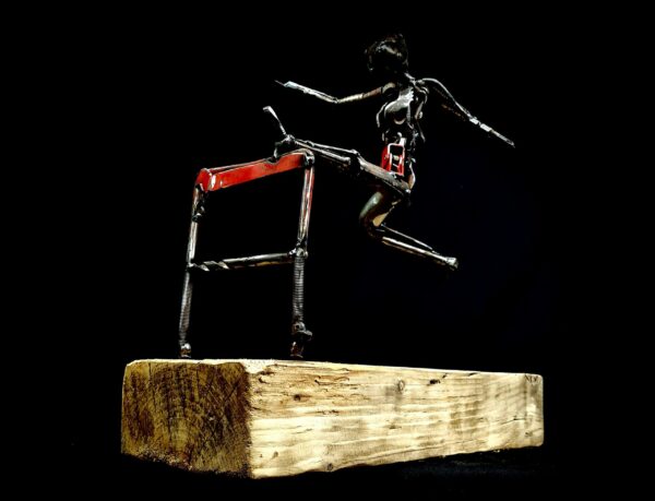 Sauteur haies – Image 3