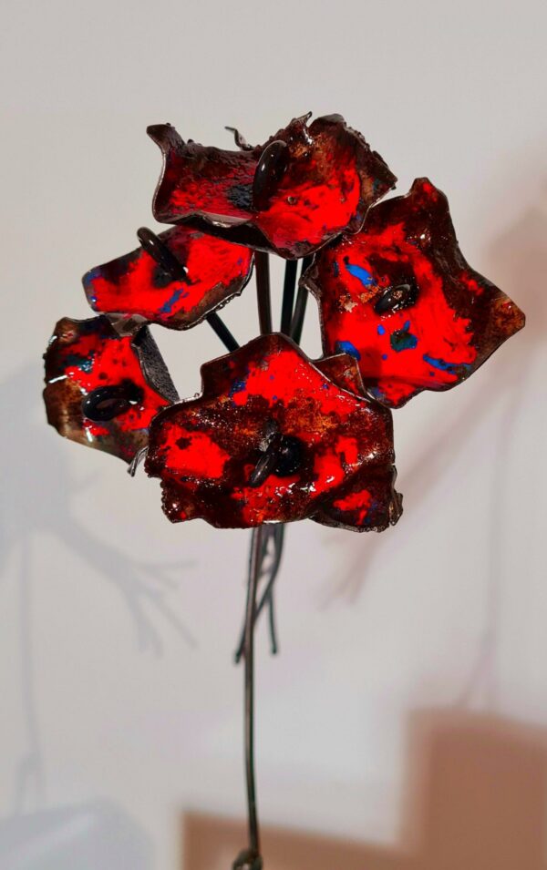 Queen flowers – Image 2