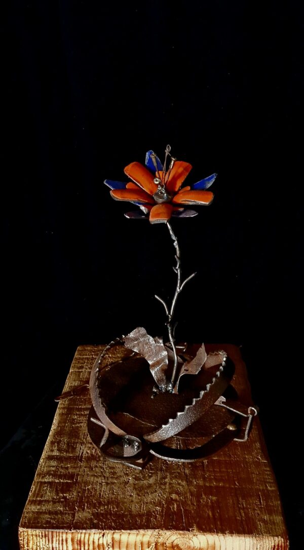 Ne pas cueillir la fleur – Image 4
