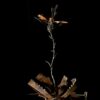 Ne pas cueillir la fleur – Image 2