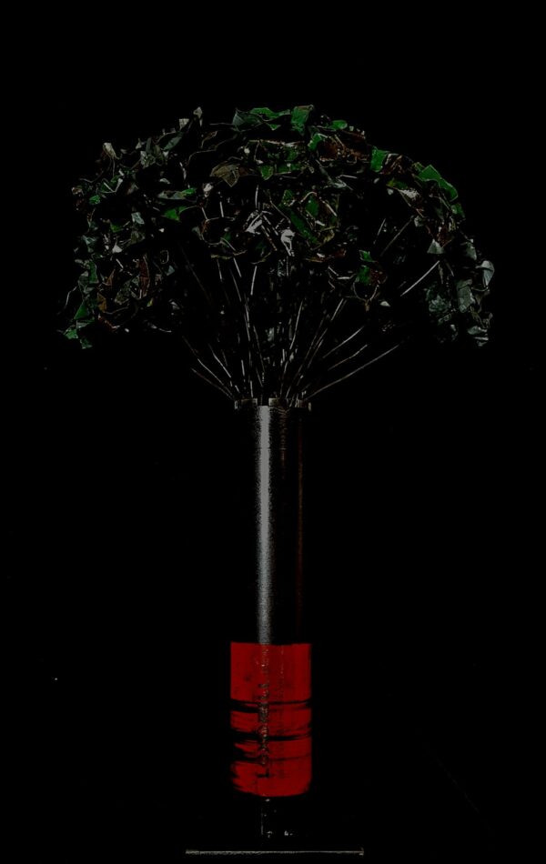 Fleurs vertes – Image 4