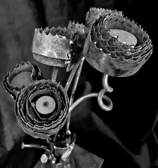 Le bouquet lames de scies