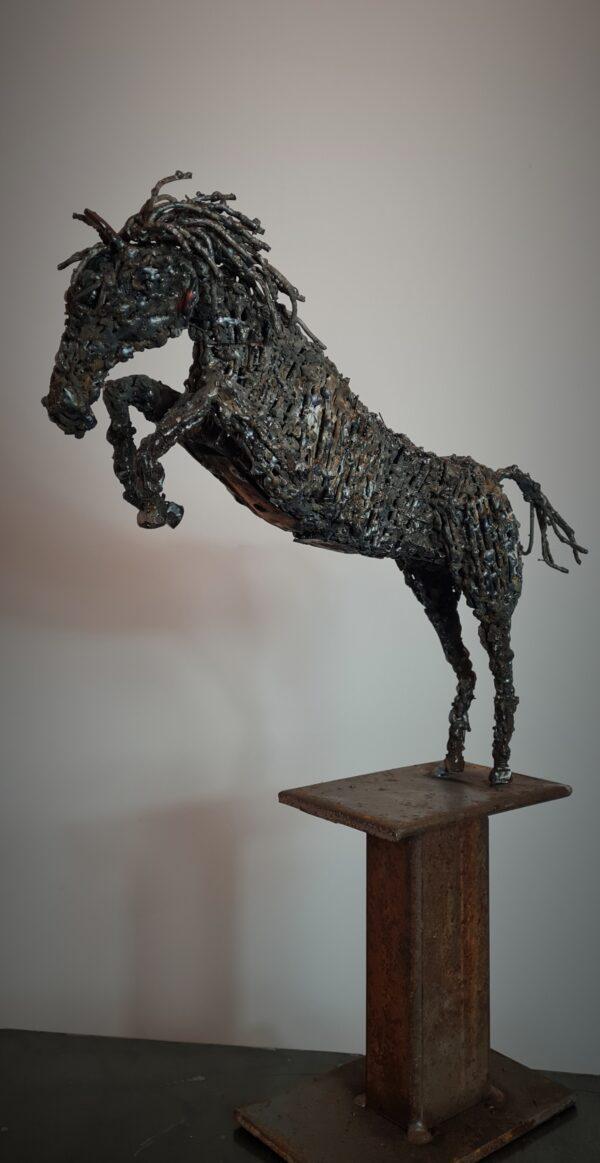 Equus saliens – Image 5