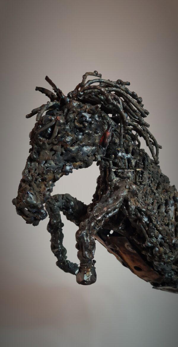 Equus saliens – Image 4