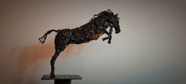 Equus saliens – Image 3