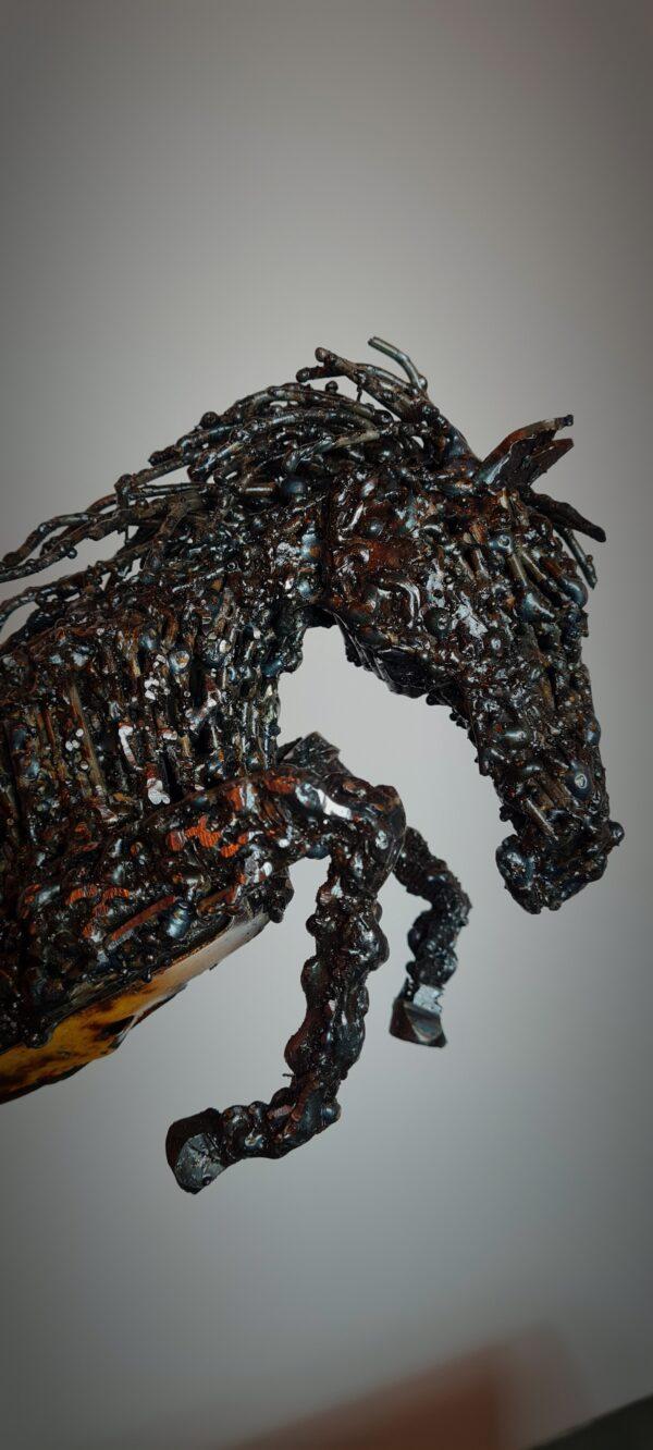Equus saliens – Image 2
