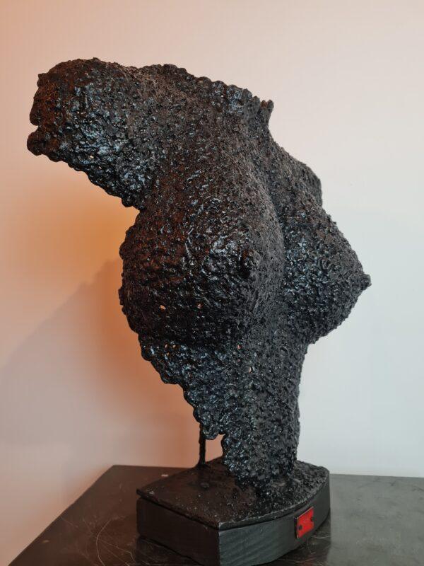 Incenderunt imaginem – Image 5