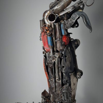 Rugby ludio ludius crus