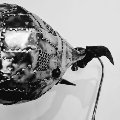 Cete metallum