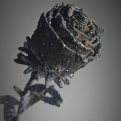 Metallicum rosea